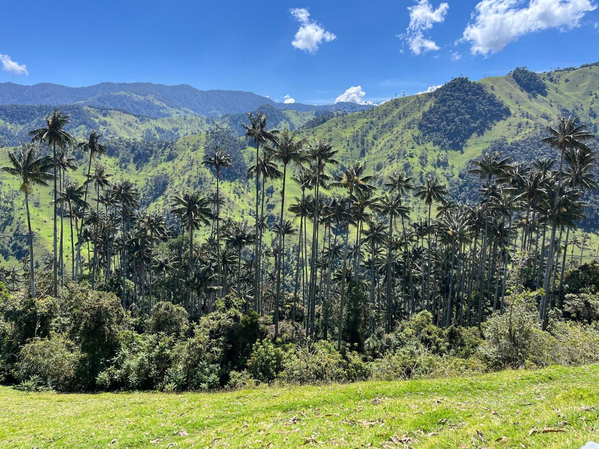 A Pousada Tukawa Filandia Exterior foto